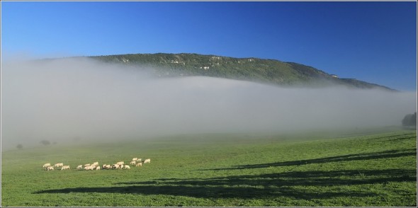 Plateau du Vercors - 10 septembre 2011