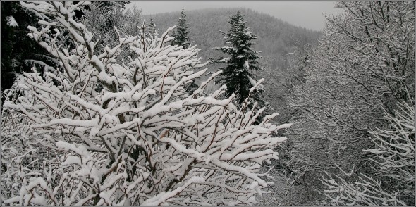 Lans en Vercors - La Sierre 1400m - 18 novembre 2010