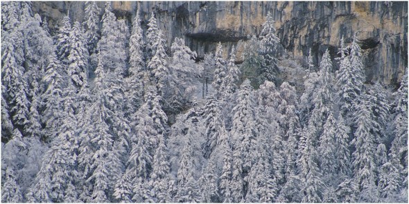 Vercors - 19 octobre 2010