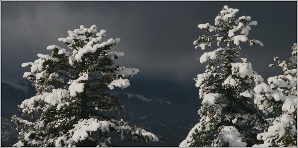 Lans en Vercors - 20 février 2011