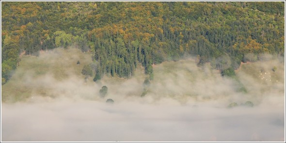 Plateau du Vercors - Matin du samedi 24 septembre 2011