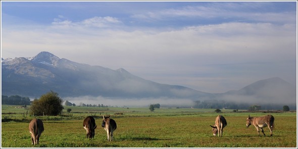 Plateau du Vercors - Matin du samedi 24 septembre 2011