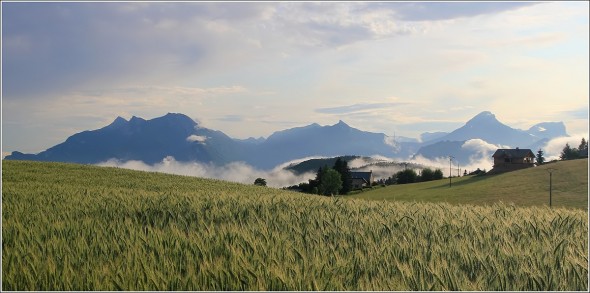 Vercors et Chartreuse - 6 juin 2011 - 7h20