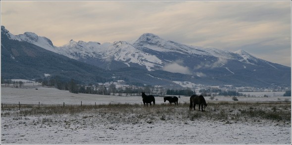 Lans en Vercors - 8 novembre 2010