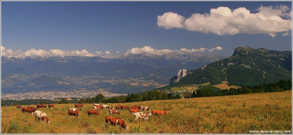 Vercors - 18 juillet 2009