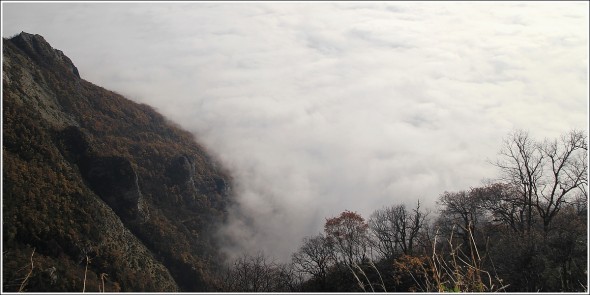 Chartreuse et Vallée du Grésivaudan - 27 novembre 2011