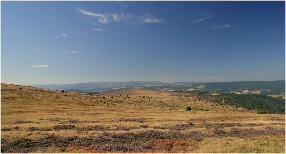 Col de Finiels et Mont Lozère - 12 août 2009