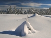 Autrans - 12 janvier 2011