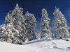 Autrans - 12 janvier 2011