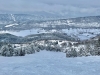 8 janvier 2022