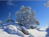 Lans en Vercors - 22 fevrier 2014