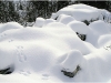 Sur les pistes de Lans en Vercors - 5 décembre 2009