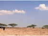 Tanzanie - Août 2010