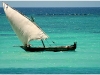 Ile de Zanzibar - Août 2010