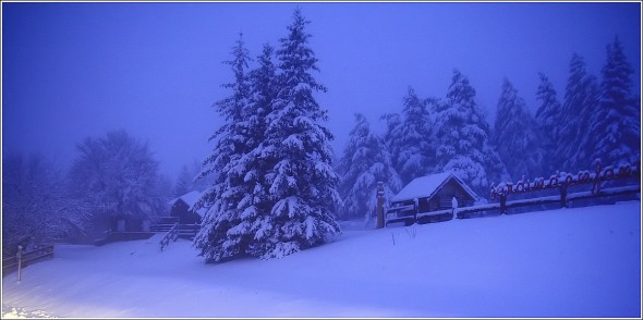 Lans en Vercors - La Sierre - 1400m - 16 novembre 2010