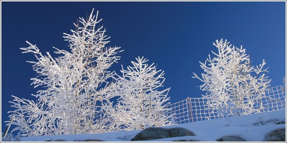 Lans en Vercors - La Sierre - 1400m - 3 janvier 2010