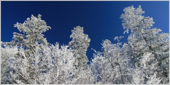 Lans en Vercors - La Sierre - 1400m - 3 janvier 2011