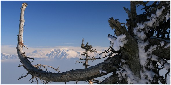 Taillefer depuis Lans en Vercors - 5 mars 2011