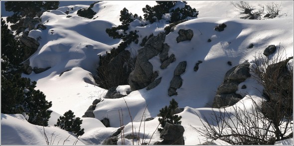 ça brille ... Lans en Vercors - 5 mars 2011