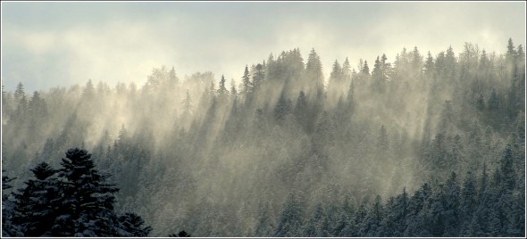 Lans en vercors - 2 janvier 2010