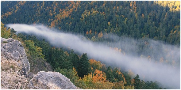 Brumes du côté des Allières - 7 octobre 2010