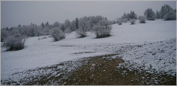 Lans en Vercors La Sierre (1400m) 5 mai 2010