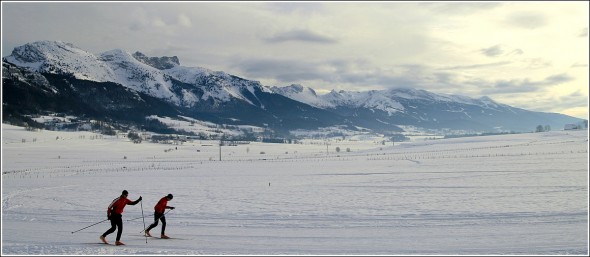 Plateau du Vercors - 24 janvier 2010 -15h57