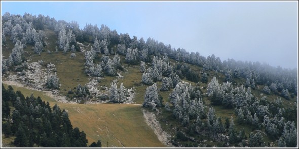 Givre et Neige - Lans en Vercors - 26 septembre 2010