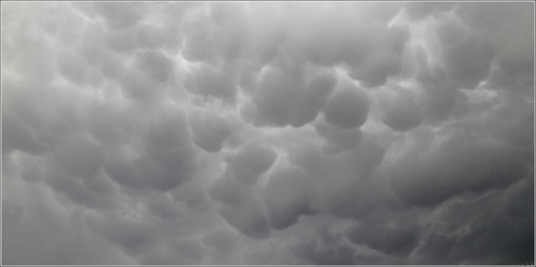 Mammatus - Ciel de Lans en Vercors - 12 juillet 2011