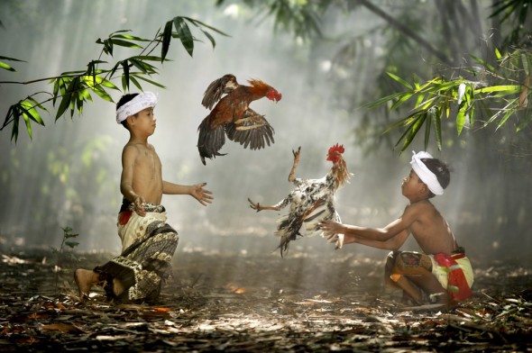 National-Geograhic's-contest-2010 - Photo and caption by Ario Wibisono