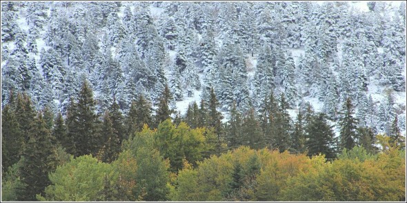 Vercors d'automne - 9 octobre 2011