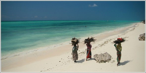 Femmes rapportant du bois, plage de Zanzibar ... 