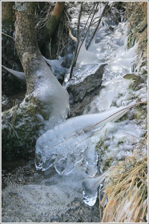 Glace sur les rives du Furon - Lans en Vercors - 23 janvier 2011