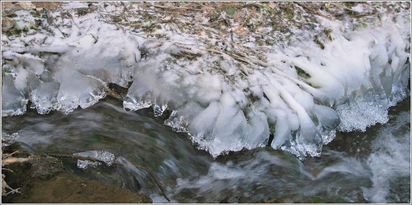 Glace sur les rives du Furon - Lans en Vercors - 23 janvier 2011