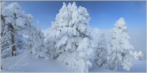 Lans en Vercors - 4 février 2012