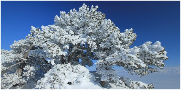 Lans en Vercors - 12 février 2012