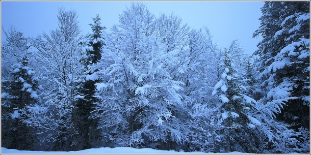 Lans en Vercors - La Sierre - 1400m - 18 mars 2012