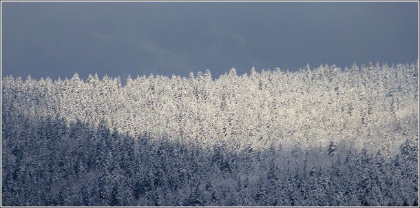 Hauteurs du Val de Lans - Matin du 17 avril 2012