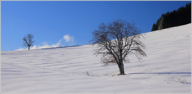 Paysage du Vercors - Autrans - 29 octobre 2012