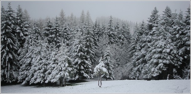 Lans en Vercors - Neige de printemps - 27 avril 2013