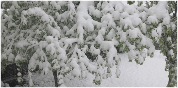 Lans en Vercors - 1050m - 25 mai 2013