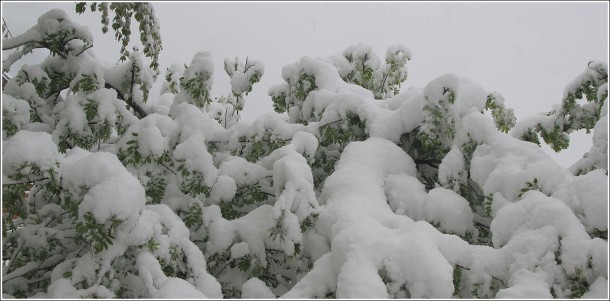 Lans en Vercors - 1050m - 25 mai 2013