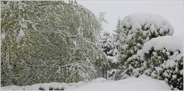 Lans en Vercors - 1050m - 25 mai 2013