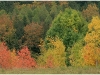 8 octobre 2009 - Automne en Vercors