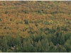 8 octobre 2009 - Automne en Vercors