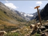 Ecrins - refuge de la lavay - 25 aout 2007