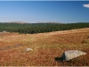 Lozère - Col de Finiels - 12 août 2009