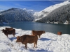 Savoie - Beaufortain - Lac de St Guerin - 12 octobre 2013