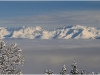 Belledonne depuis Autrans - 10 janvier 2011