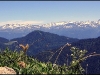 Belledonne depuis la Chartreuse - le 26 juin 2004